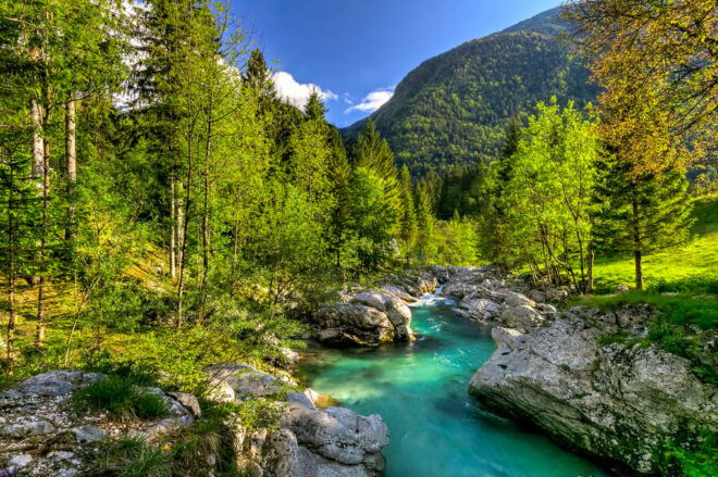 Bled: Soča River Experience - Participant Information