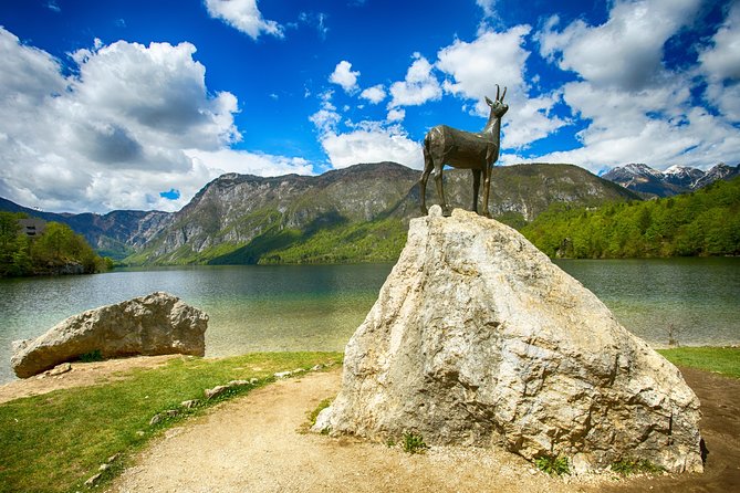 Bled to Lake Bohinj Trip - Trip Highlights