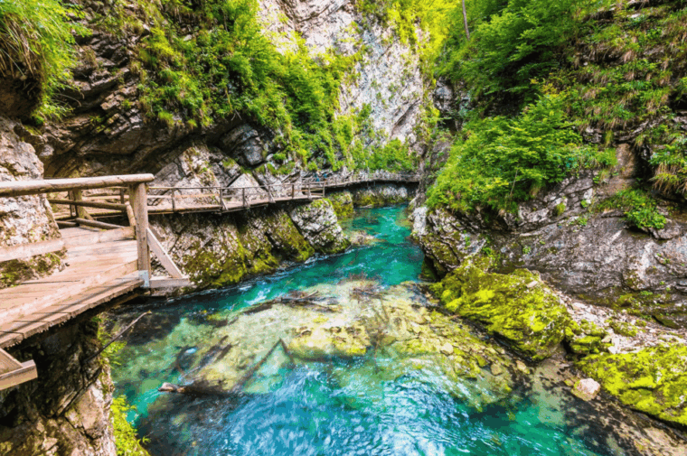 Bled: Vintgar Gorge Best Experience and Food Tasting - The Itinerary Breakdown