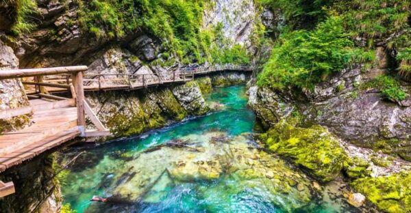 Bled: Vintgar Gorge Best Experience and Food Tasting - Food Tasting Experience