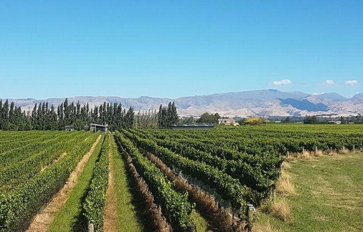 Blenheim: Full-Day Private Driving Marlborough Wineries Tour - Experience Highlights