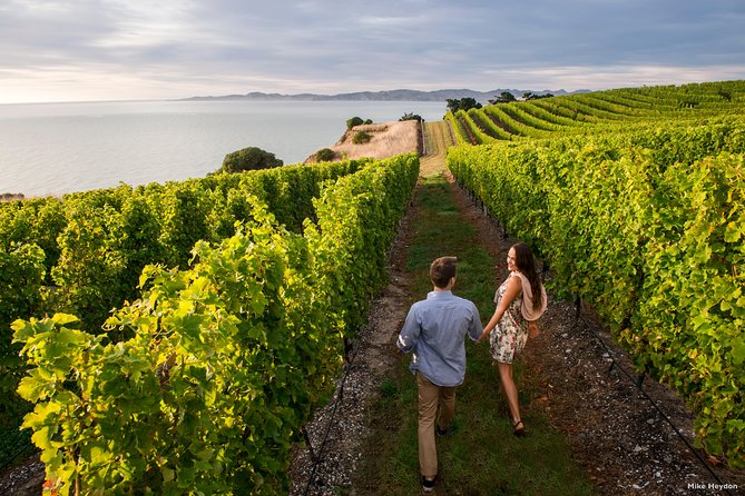 Blenheim Half Day Wine Tour - Review Statistics and Testimonials