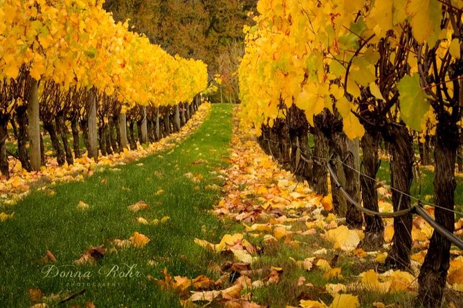 Blenheim Half Day Wine Tour - Final Thoughts and Recommendations