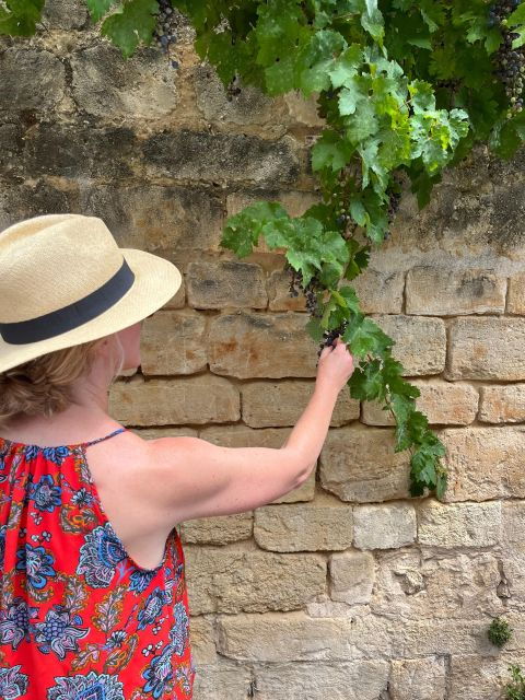 Blind Tasting: 5 Bordeaux Natural Wine Cheese Experience - Educational Wine Insights and Blind Tasting