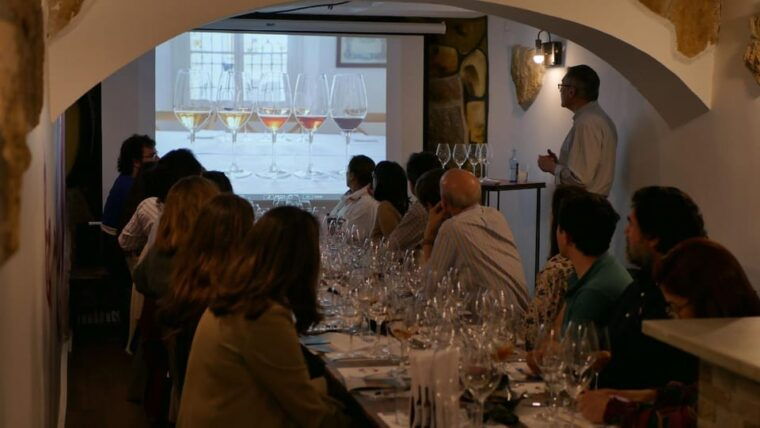 Blind Tasting in Seville - Interactive and Educational Format