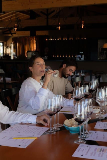 Blind Wine Tasting - Final Thoughts
