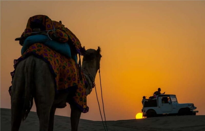 Blissful Half Day Sunset Camel Safari with Musical Evening - FAQ
