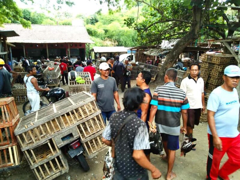 Blitar: Guided City Tour with Cycling and Toy Painting - Good To Know