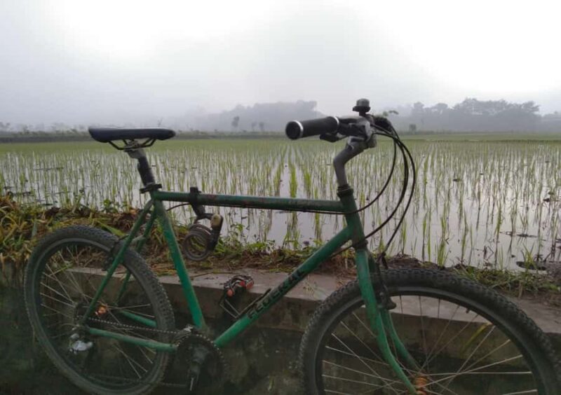Blitar: Guided City Tour with Cycling and Toy Painting - Why This Tour Offers Great Value