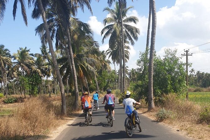 BLive Electric Bike Tours – Countryside Escape to Varca - Varcas Idyllic Countryside: A Blissful Bike Ride
