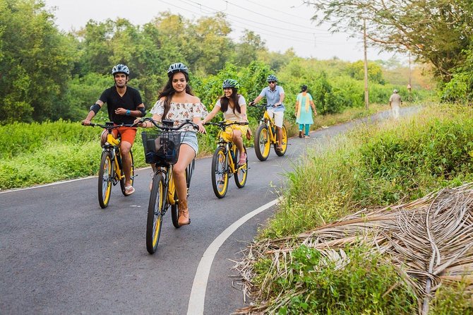 BLive Electric Bike Tours – Discovery of Divar Island - Exploring Divar Island on an Electric Bike
