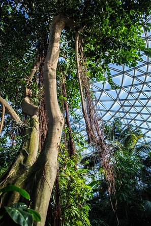 Bloedel Conservatory Admission Ticket - Reviews and Ratings