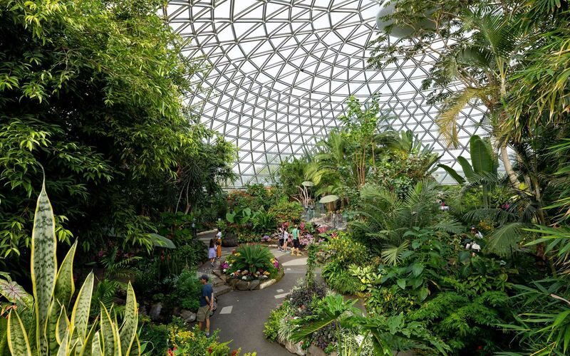 Bloedel Conservatory ticket in Vancouver - Bloedel Conservatory at a glance
