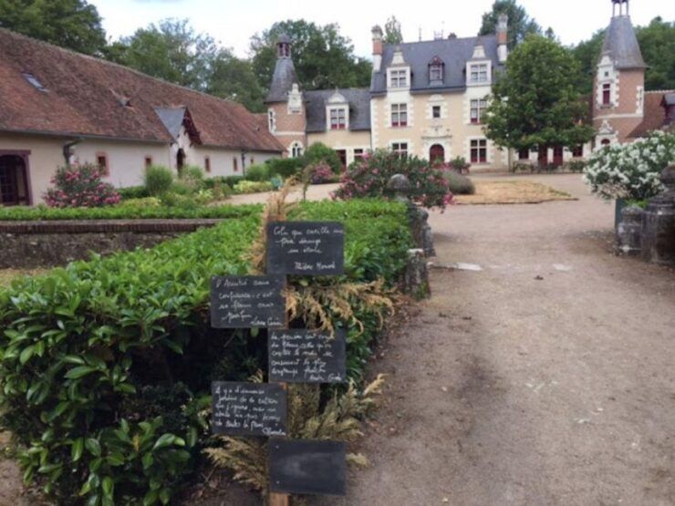 Blois: Exclusive Wine Tasting in Cheverny and Cour Cheverny - Insightful Viticultural History
