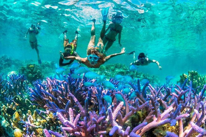 Bloo Lagoon Snorkeling East Bali Includes Transportation & Lunch - Overview of the Snorkeling Trip