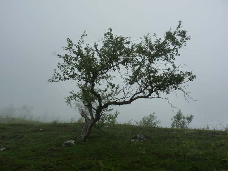 Bloody Stockholm: ghosts, horror and dark folklore 2h - Good To Know