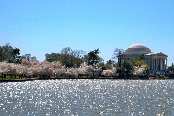Blossoming Friendship: A Self-Guided Audio Tour of Washington D.C.'s Tidal Basin - Tour Overview