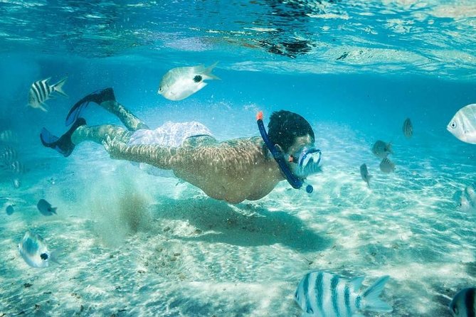 Blow Lagoon Bali Snorkeling and See Bali Bats Cave Temple - Good To Know