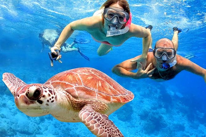 Blow Lagoon Bali Snorkeling and See Bali Bats Cave Temple - Snorkeling Experience Highlights