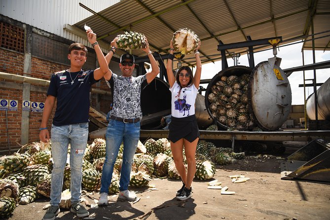Blue Agave Fields at Ruta Del Tequila, With Tasting  - Guadalajara - Common Questions
