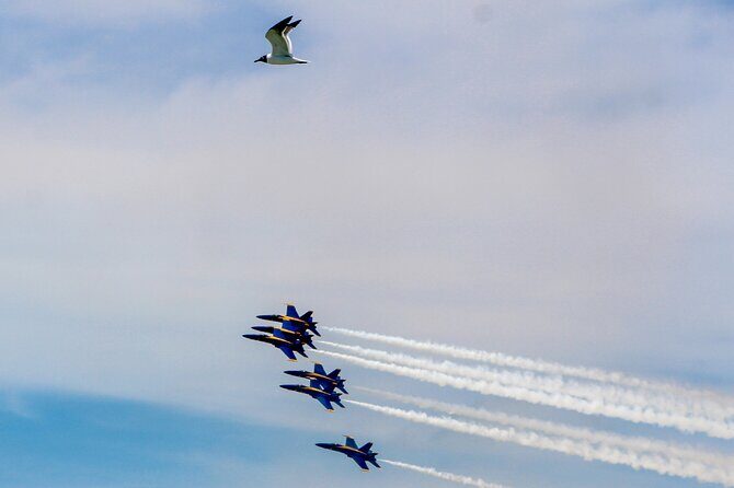 Blue Angels Air Show Viewing Boat in Key West - Introduction: A Unique Way to Witness the Blue Angels in Key West