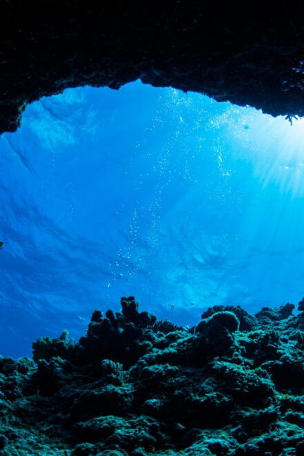Blue Cave and Elaphiti Islands Private Speed Boat Tour - Inclusions