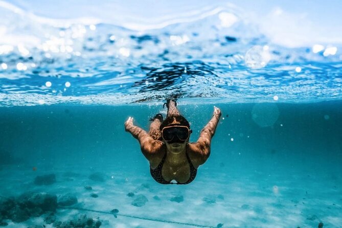 Blue Cave and Šunj Beach Experience - Booking and Cancellation Policy
