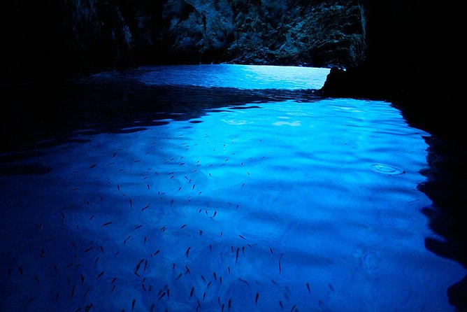 Blue Cave, Blue Lagoon, Hvar Island and Shipwreck - Private Boat Tour - Meeting and Pickup Details