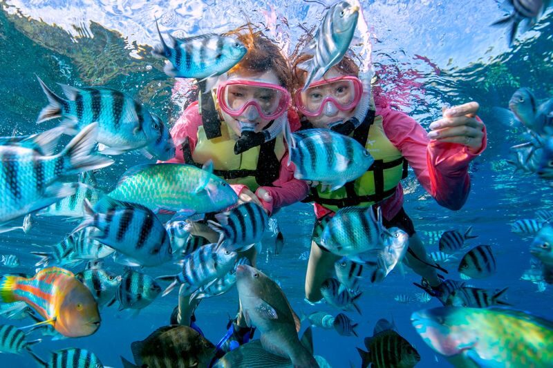 Blue Cave Diving/Snorkeling & Banana Boat Experience in Okinawa - At a glance