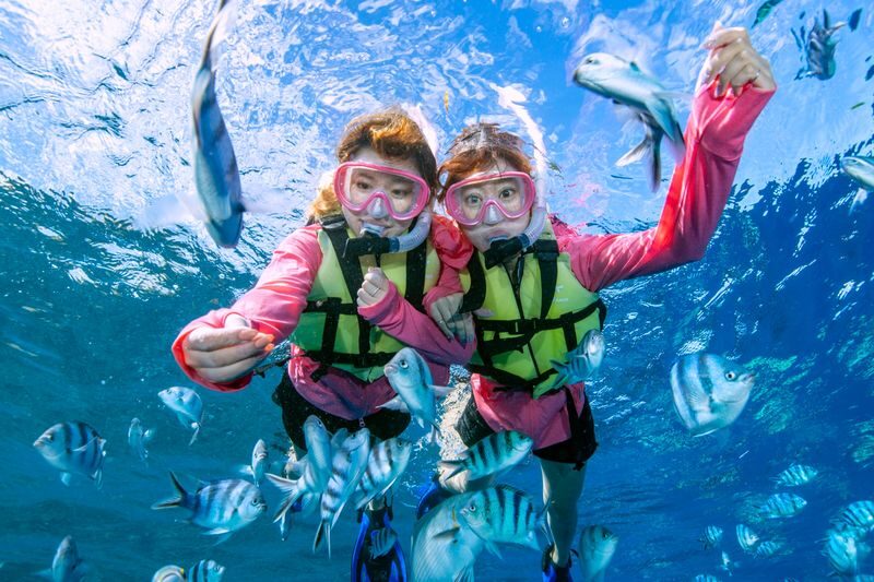 Blue Cave Diving/Snorkeling & Churaumi Aquarium Ticket in Okinawa - What the time in the water is like