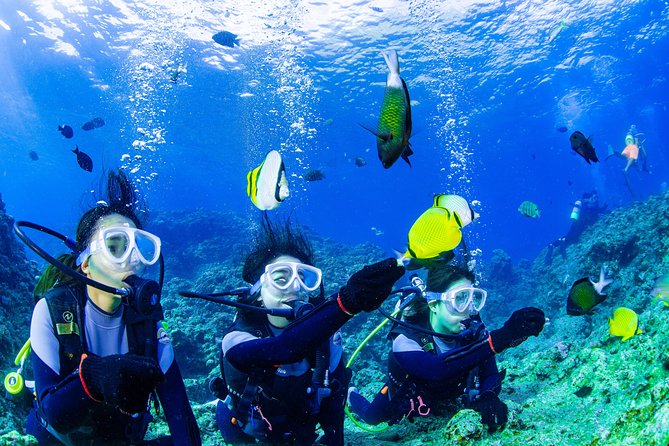 Blue Cave Experience Diving [Charter System / Boat Holding] I Am Very Satisfied With the Beautiful - Charter System: Explore the Blue Cave With Your Own Group