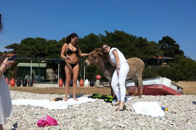 Blue Cave, Hvar and Five Islands - Small-Group Tour From Split - Guided Commentary