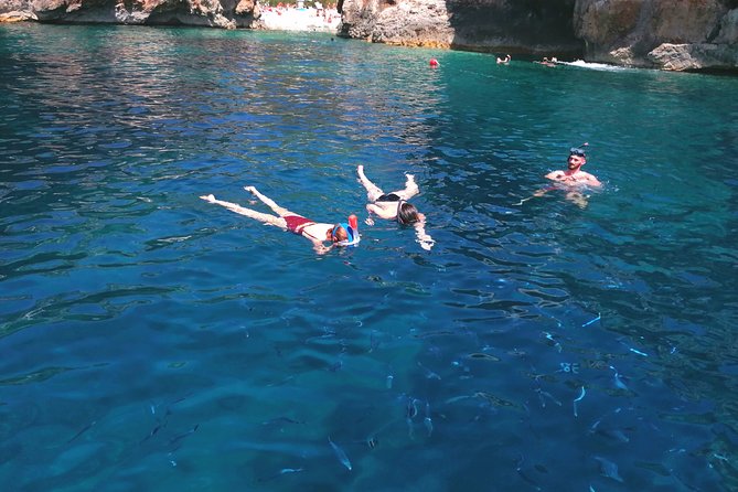 Blue Cave & Hvar Tour, 5 Islands Speed Boat - Tour Pricing