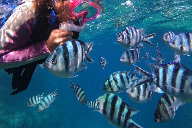 Blue Cave Private Snorkeling with Photoshoot - The Itinerary: What’s Included and What’s Not