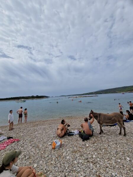 Blue Cave Private Tour From Hvar - Discovering Budikovac Island