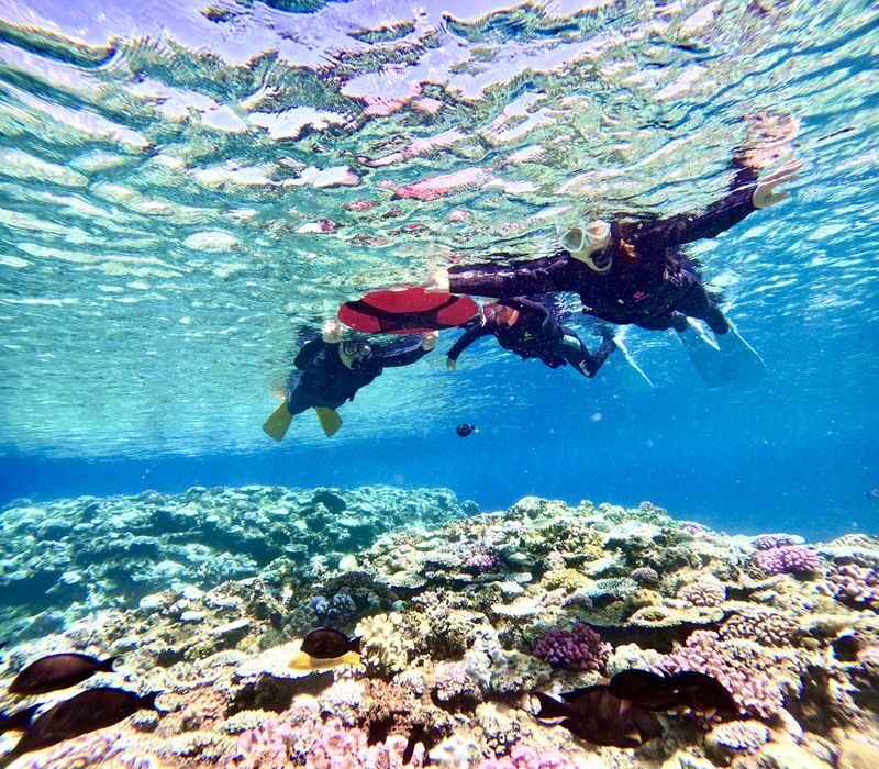 Blue Cave Snorkeling and Diving in Okinawa - Who should book this outing?