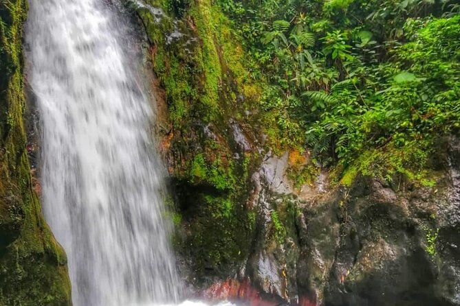 Blue Falls and Catarata Toro Hiking Tour - Frequently Asked Questions