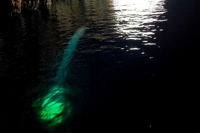 Blue & Green Cave Vis Island and Pakleni Islands Private Day Trip From Hvar - Frequently Asked Questions