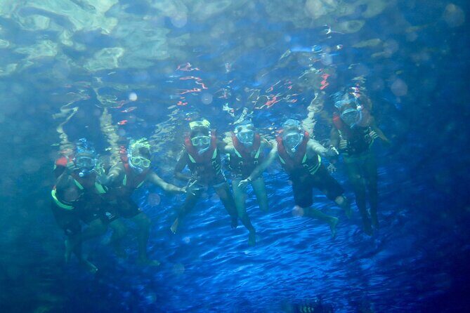 Blue Grotto Snorkeling - Who Will Love This Tour?