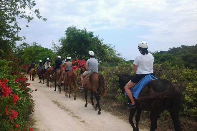Blue Hole Adventure With Horseback Riding From Montego Bay - Horseback Riding Experience Details