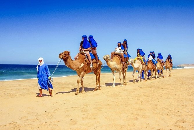 Blue Hole and Canyon by Bus With Camel Ride & Lunch - Sharm El Sheikh - Transportation Details