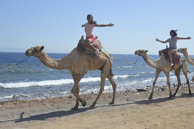 Blue Hole and Dahab City From Sharm El Sheikh - Inclusions and Additional Costs