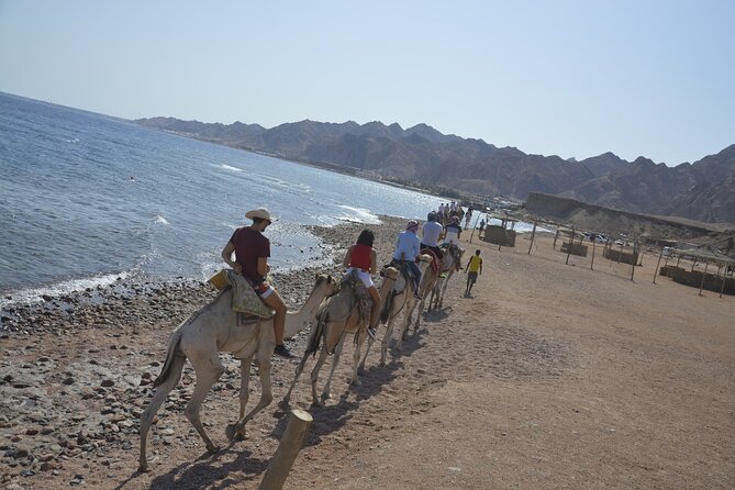 Blue Hole and Dahab City From Sharm El Sheikh - Frequently Asked Questions
