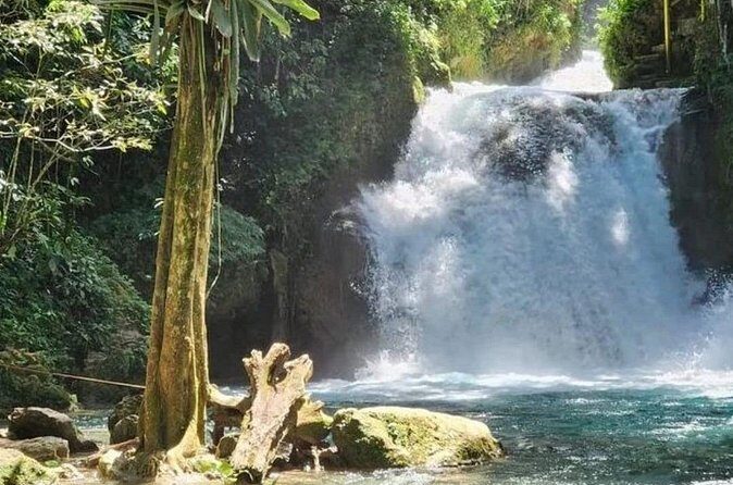Blue Hole and Dunn's River Falls Combo Tours from Montego Bay - Cost & Value