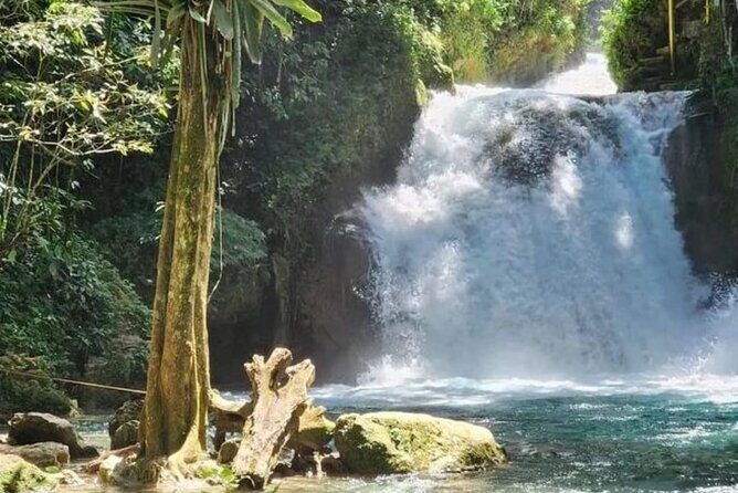 Blue Hole and Dunn's River Falls Combo Tours from Montego Bay - Who Will Love This Tour?