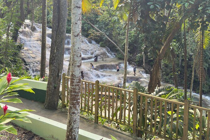 Blue Hole and Dunn's River Tour (Entrance Fees Not Included) - Who Should Book This Tour?