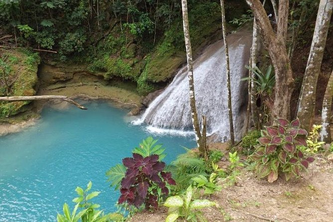 Blue Hole and Konoko Falls Park Private Tour - Tour Pricing and Booking Details