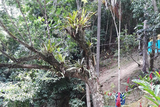 Blue Hole and Ocho Rios Tour From Montego Bay - Itinerary Details