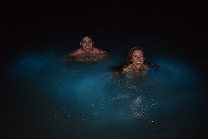 Blue Hole and Secret Falls Plus Luminous Lagoon (Glistening Water) Private Tour - Tour Overview