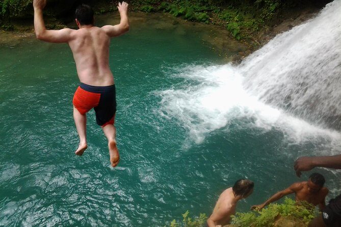 Blue Hole, Dunn's River Falls Luminous Lagoon Excursion From Montego Bay - Good To Know
